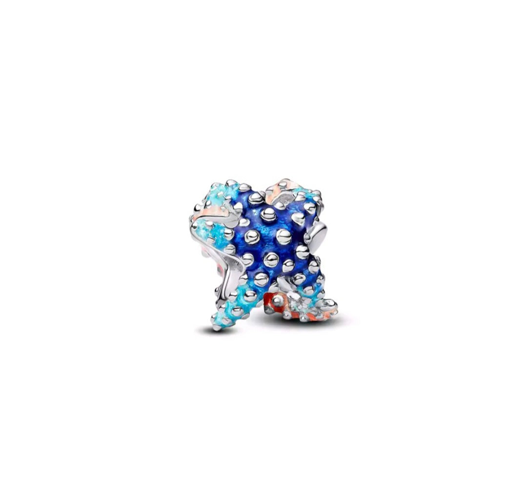 Sterling Silver Colourful Starfish Charm