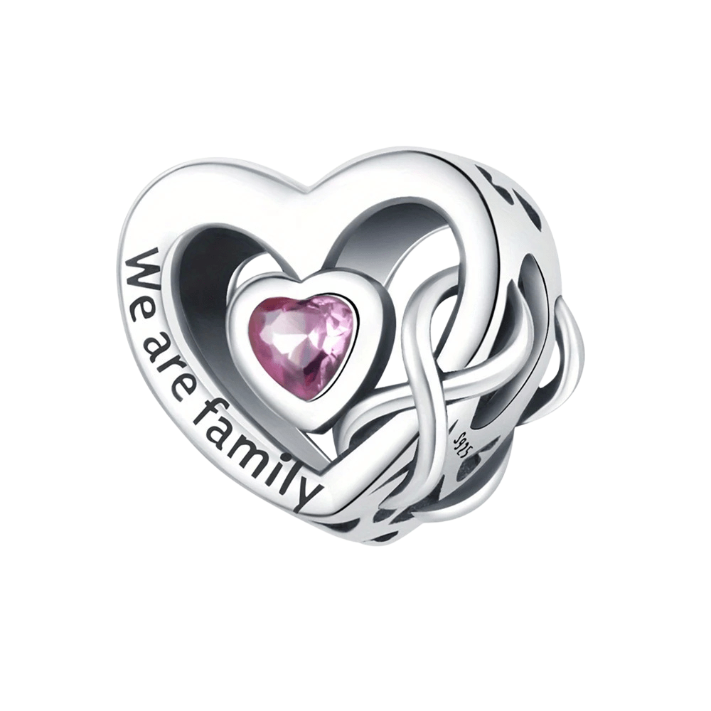 Sterling Silver We Are Family Charm - Enchanting Charms