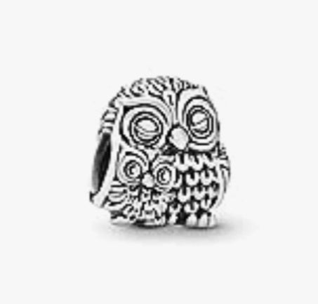 Sterling Silver Mother Owl And Baby Owl Charm - EnchantingCharms