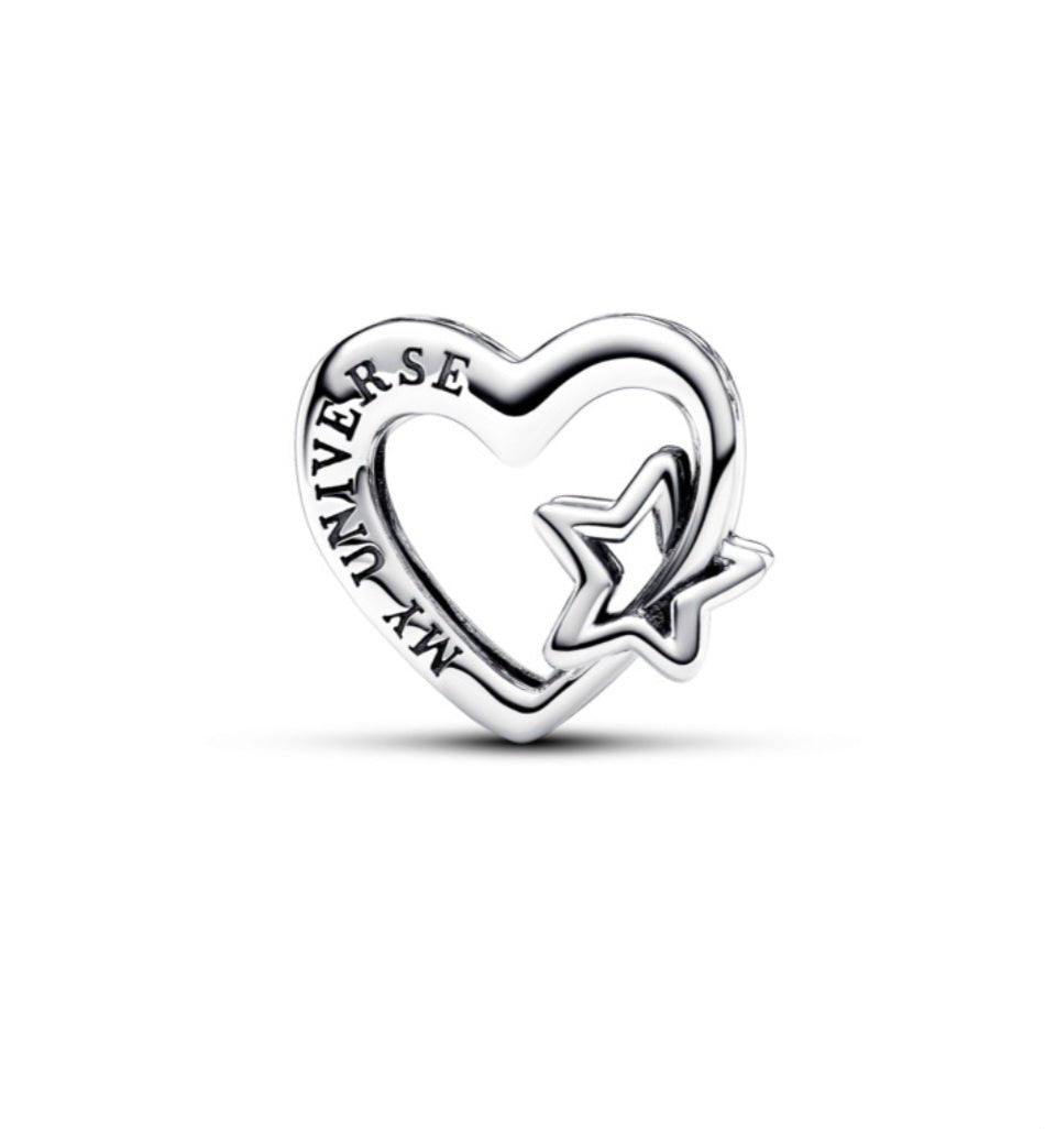 Sterling Silver My Family Charm - EnchantingCharms