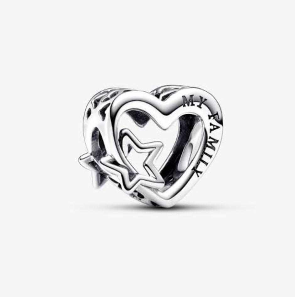 Sterling Silver My Family Charm - EnchantingCharms